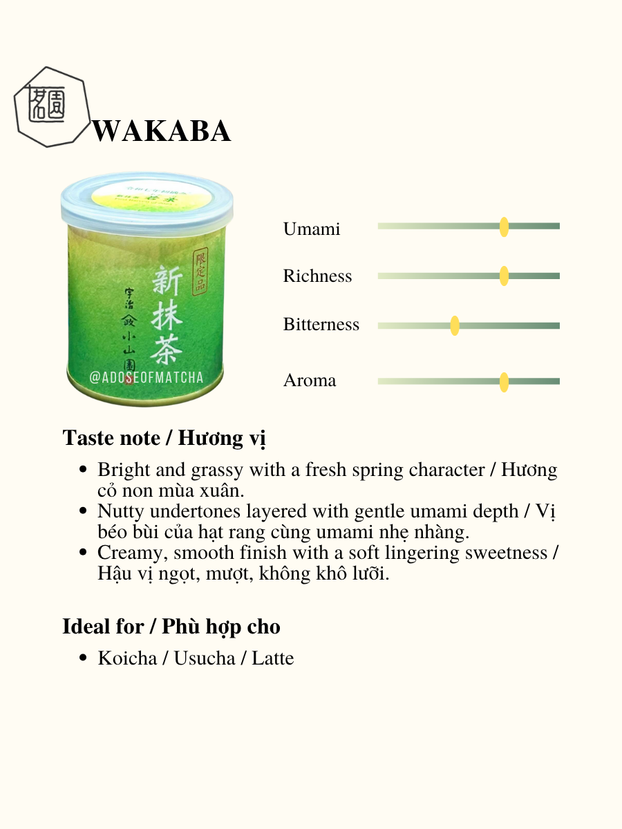 Yamamasa Koyamaen Wakaba